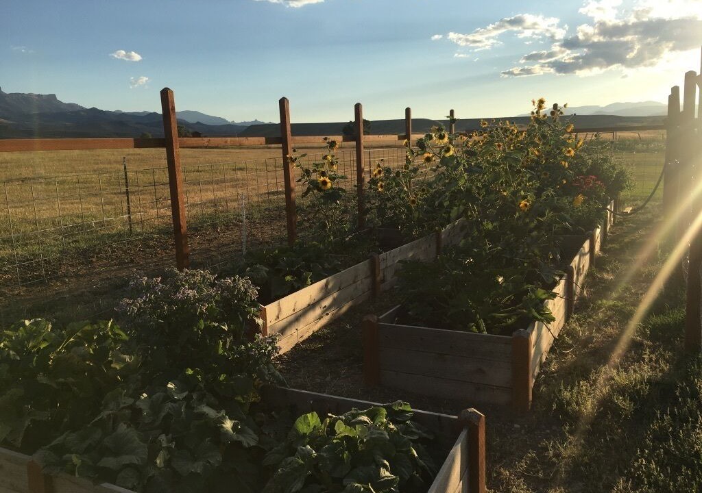 Photo of Outdoor in Cody