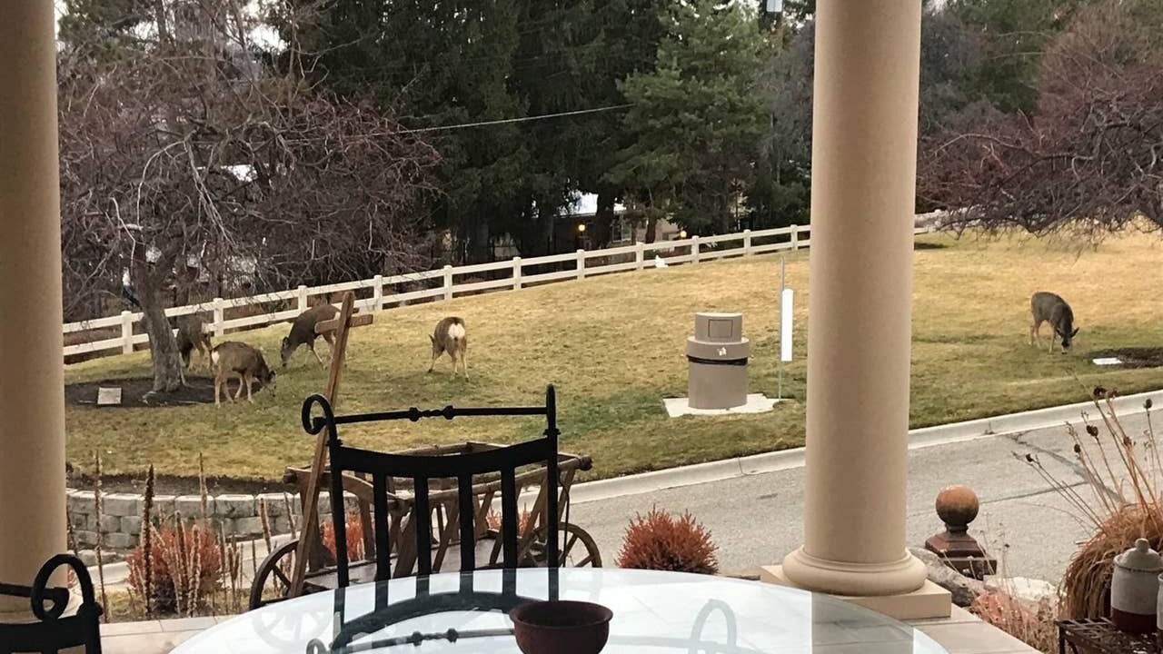 Photo of Others in East End