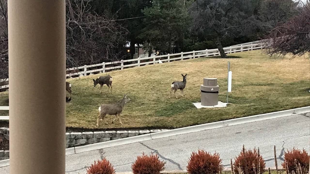 Photo of Others in East End