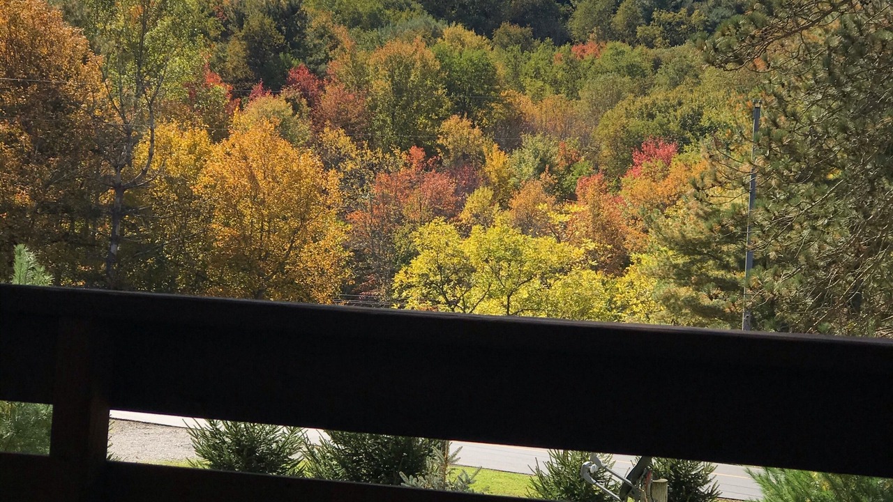 Photo of Outdoor in Loudonville