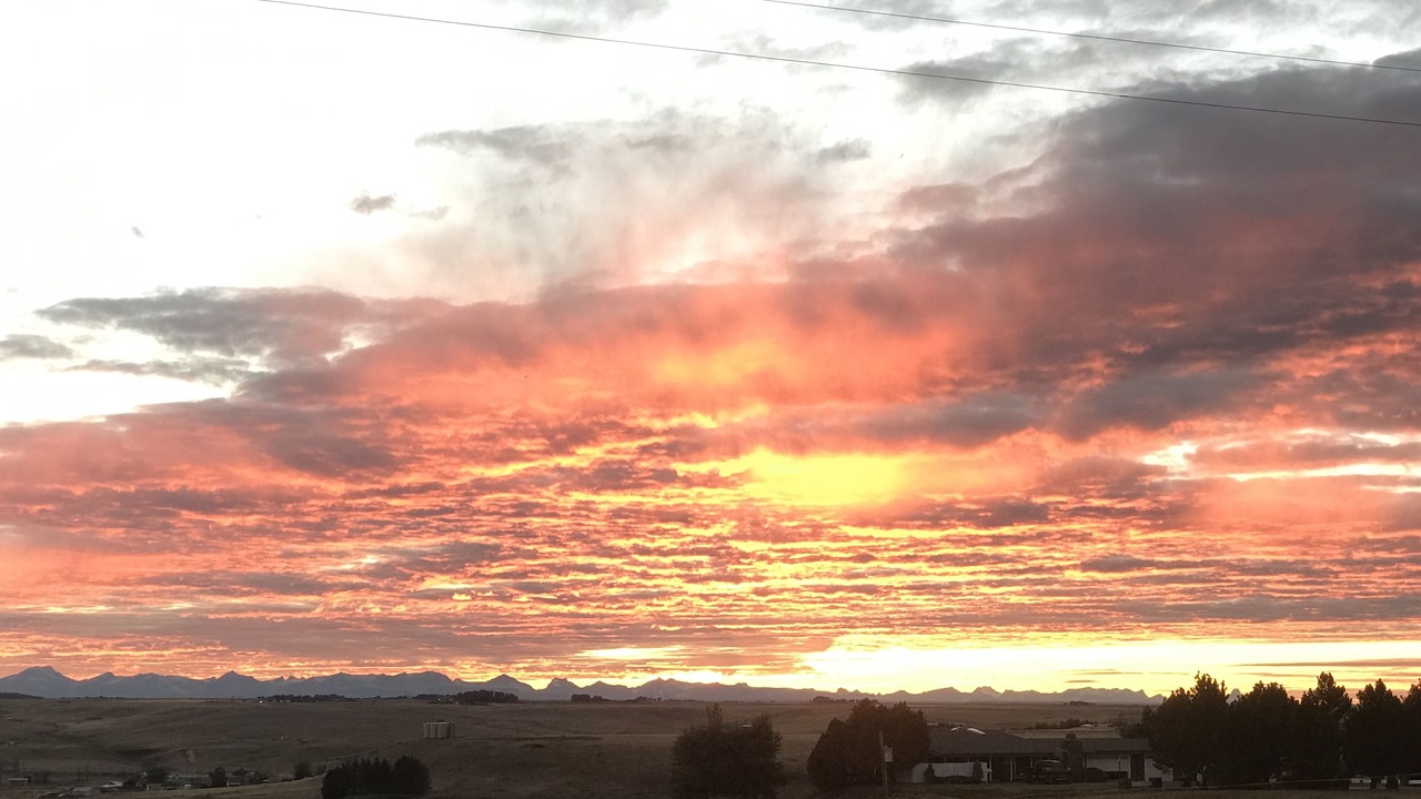 Photo of Outdoor in Santa Rita