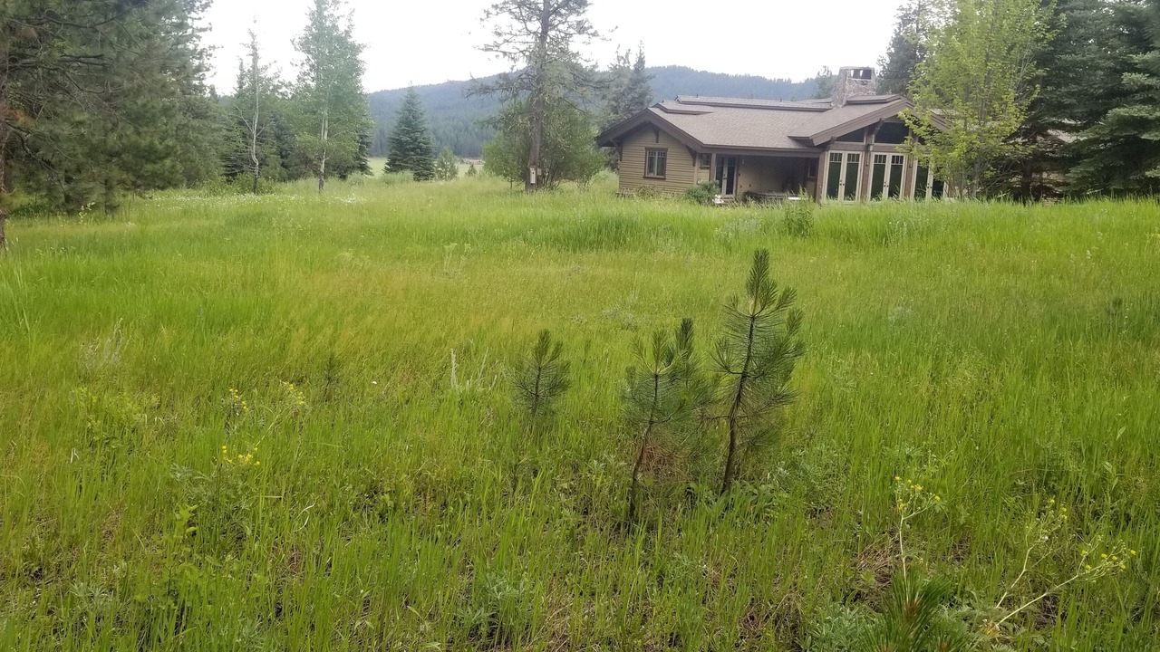 Photo of Outdoor in New Meadows