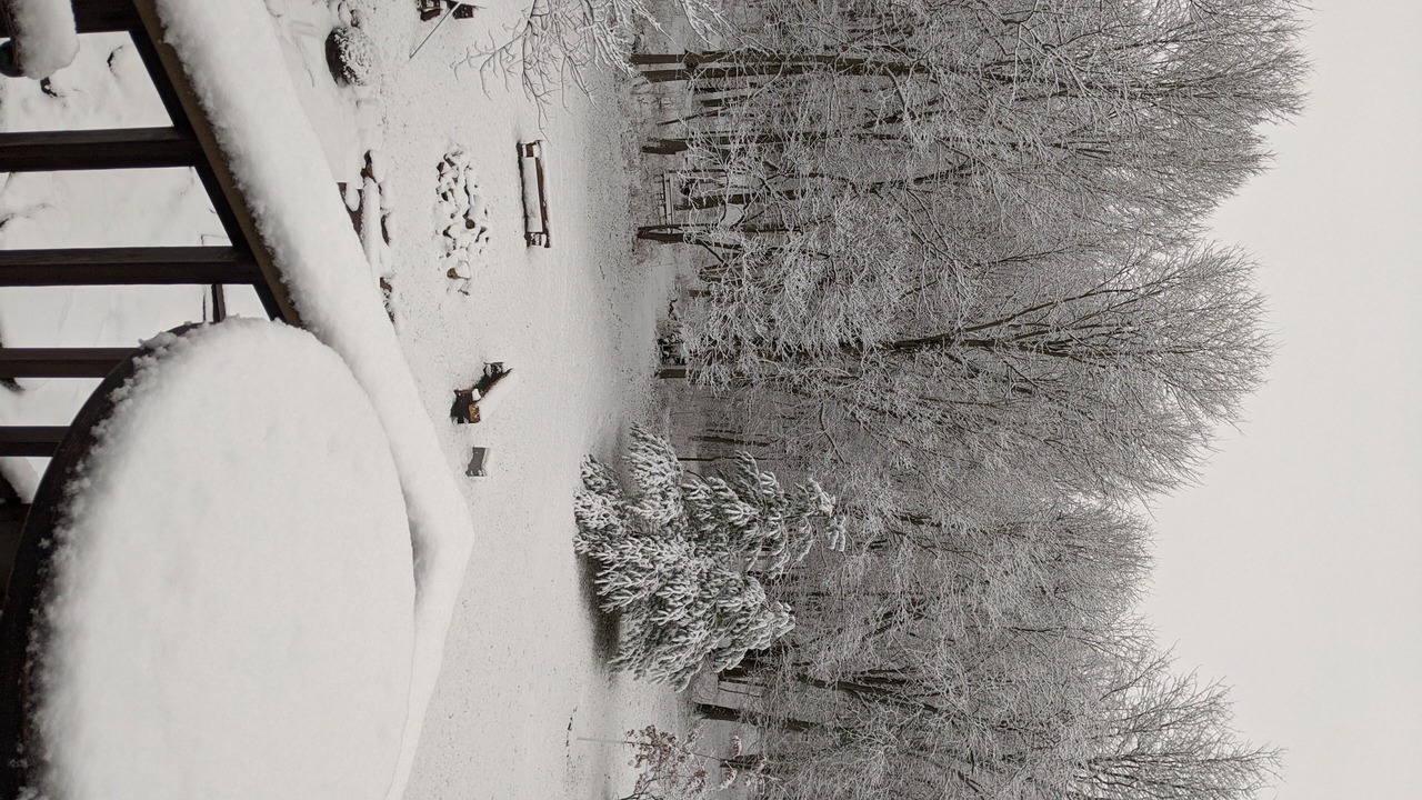 Photo of Others in Delaware