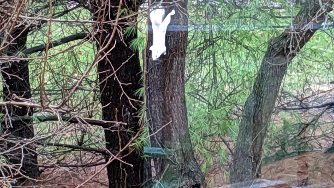 Photo of Outdoor in Delaware