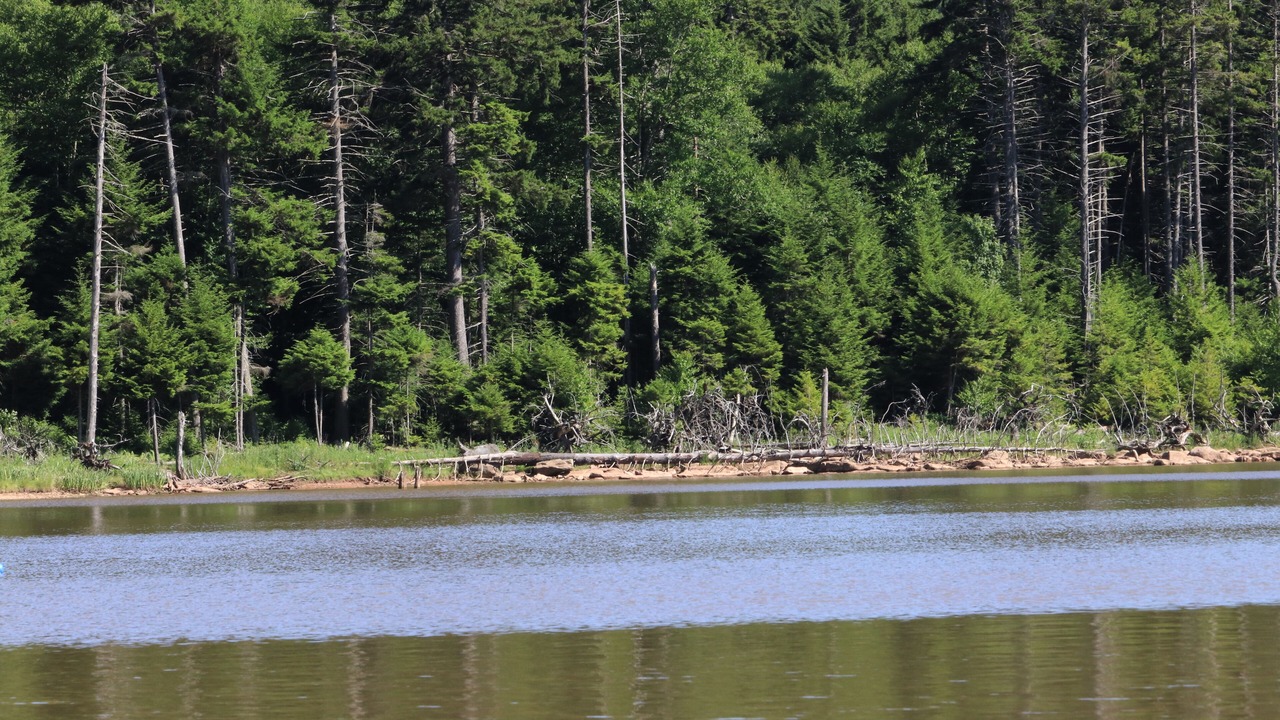 Photo of Outdoor in Snowshoe
