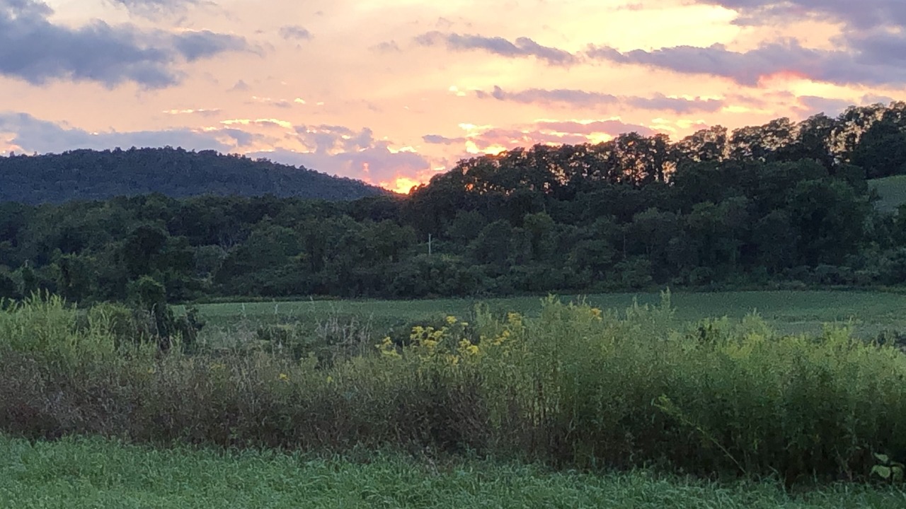 Photo of Outdoor in Millerton