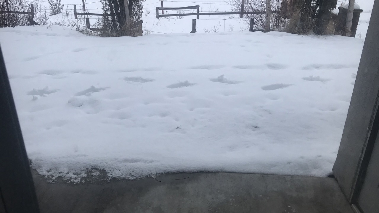 Photo of Outdoor in Kalispell