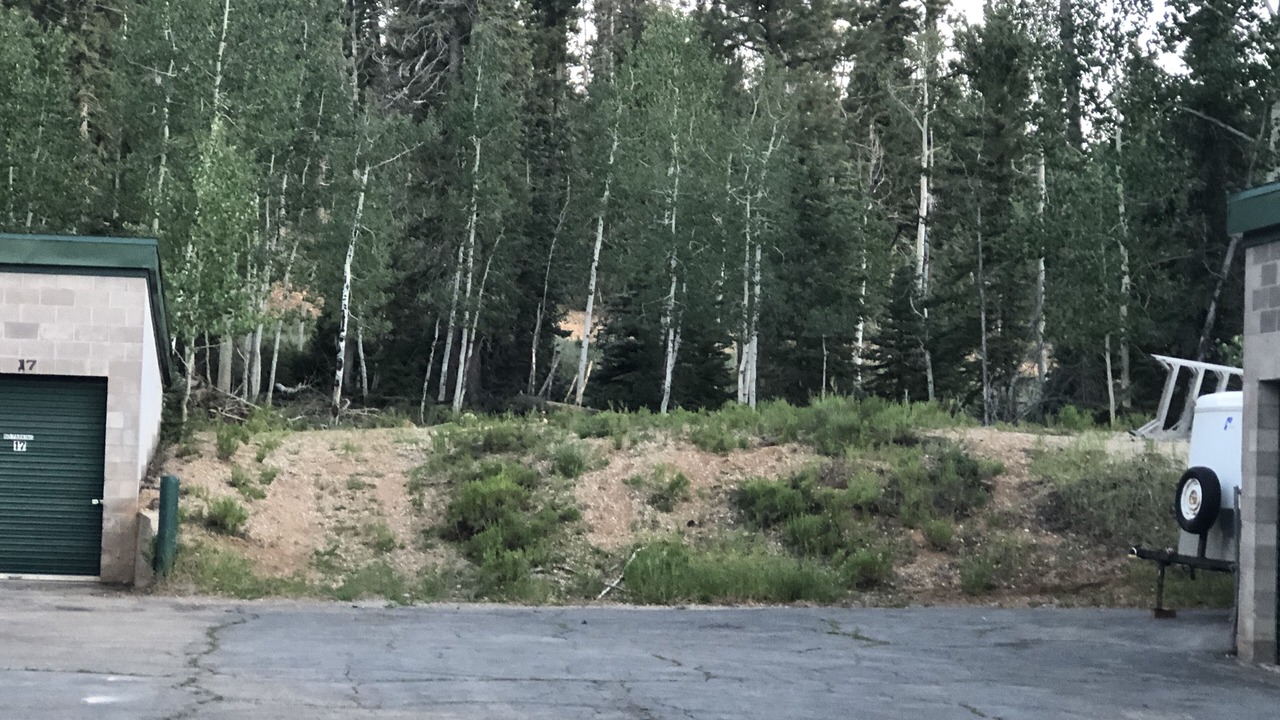 Photo of Outdoor in Duck Creek Village