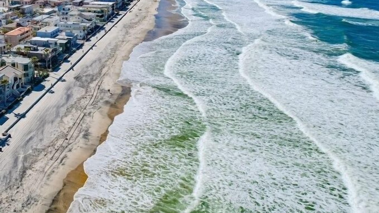 Photo of Others in Mission Beach