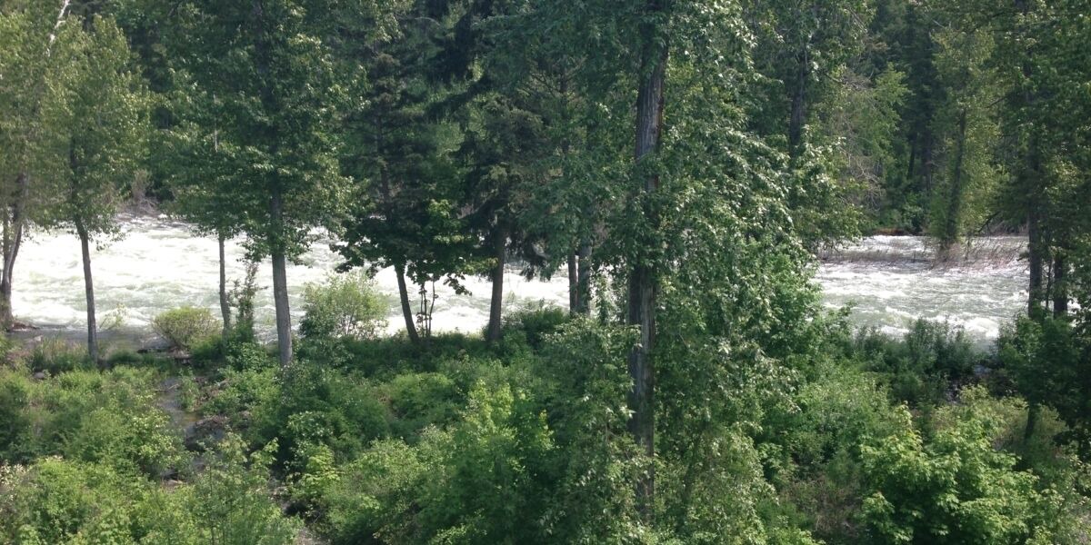 Photo of Outdoor in Bigfork