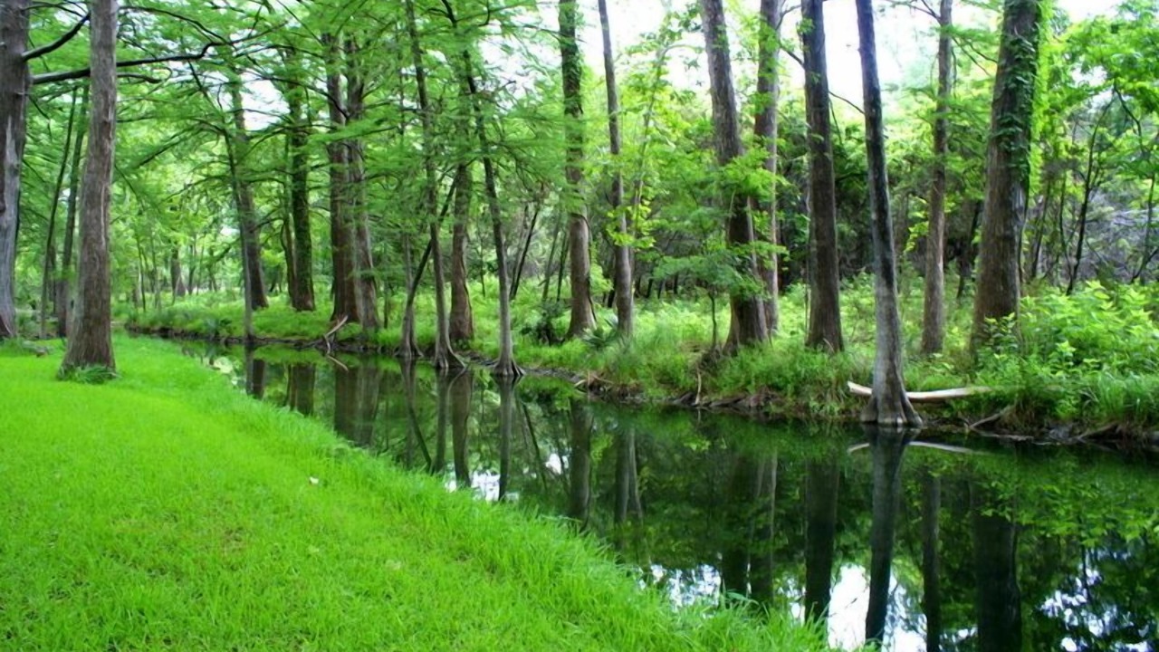 Photo of Others in Wimberley