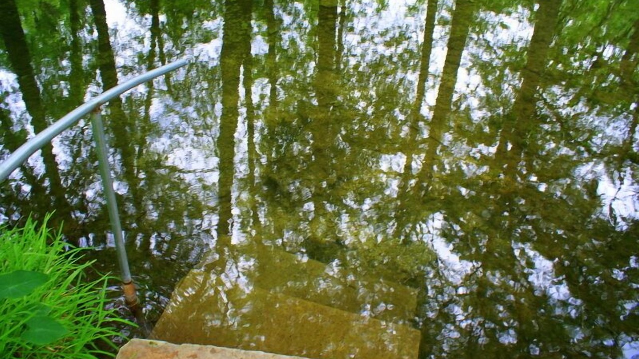Photo of Others in Wimberley