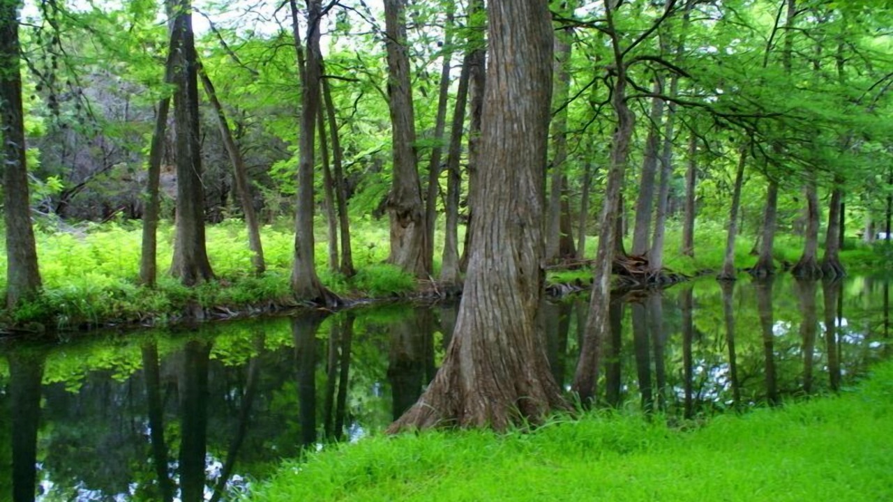 Photo of Others in Wimberley