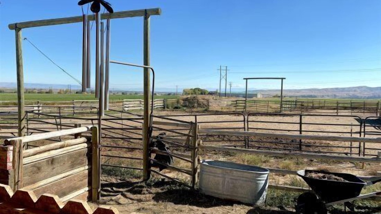 Photo of Outdoor in Cody