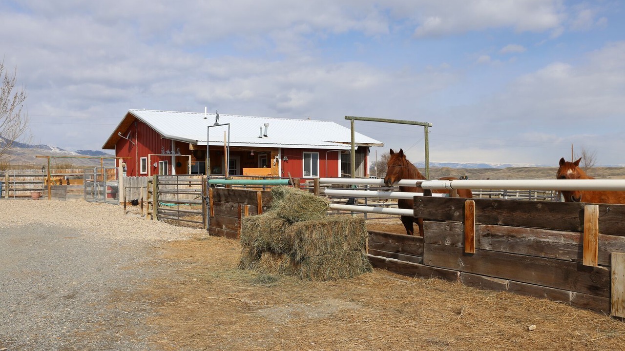 Photo of Outdoor in Cody