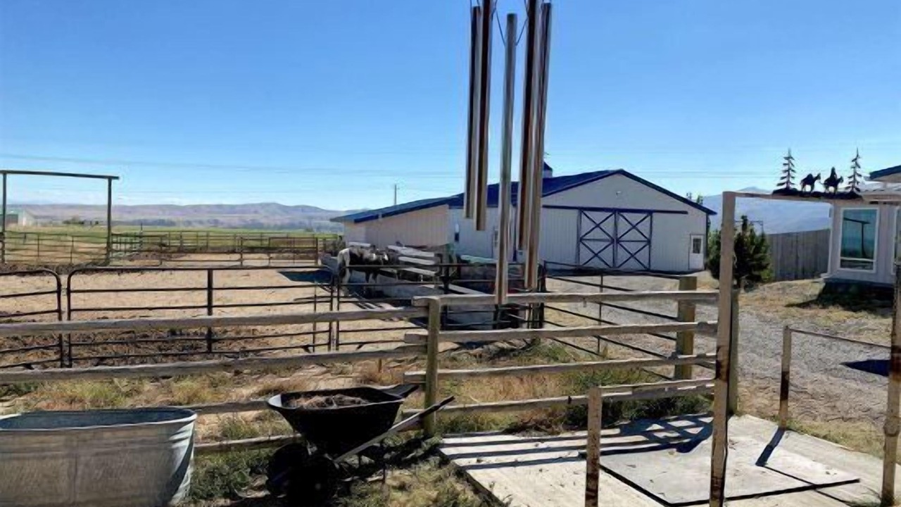 Photo of Outdoor in Cody