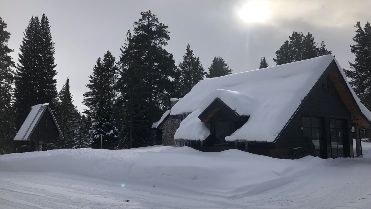 Photo of Outdoor in Wilson