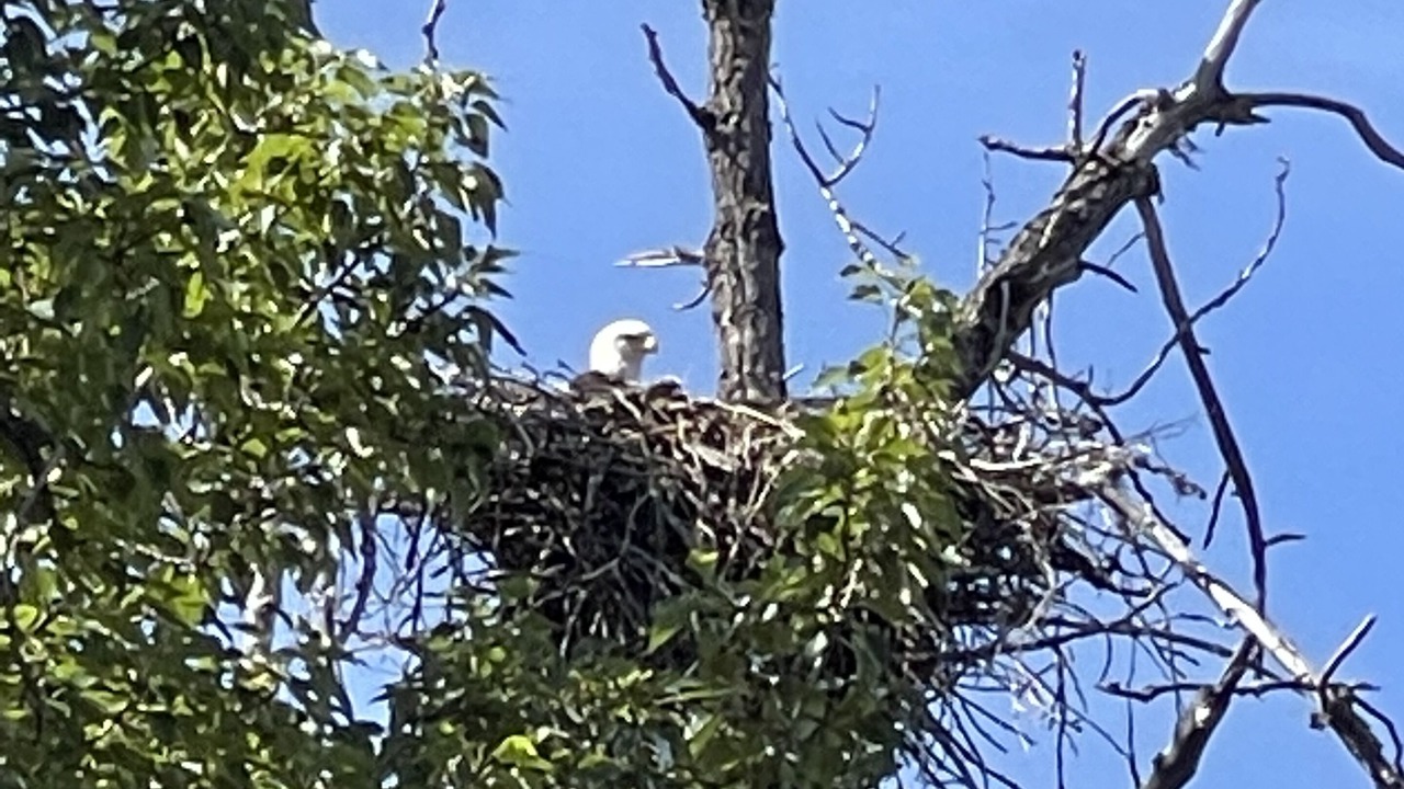 Photo of Outdoor in Priest River
