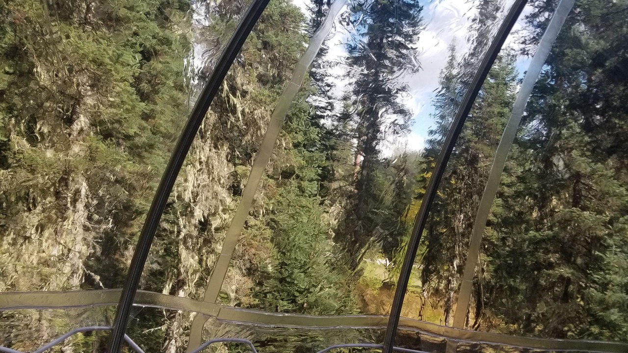 Photo of Others in West Glacier