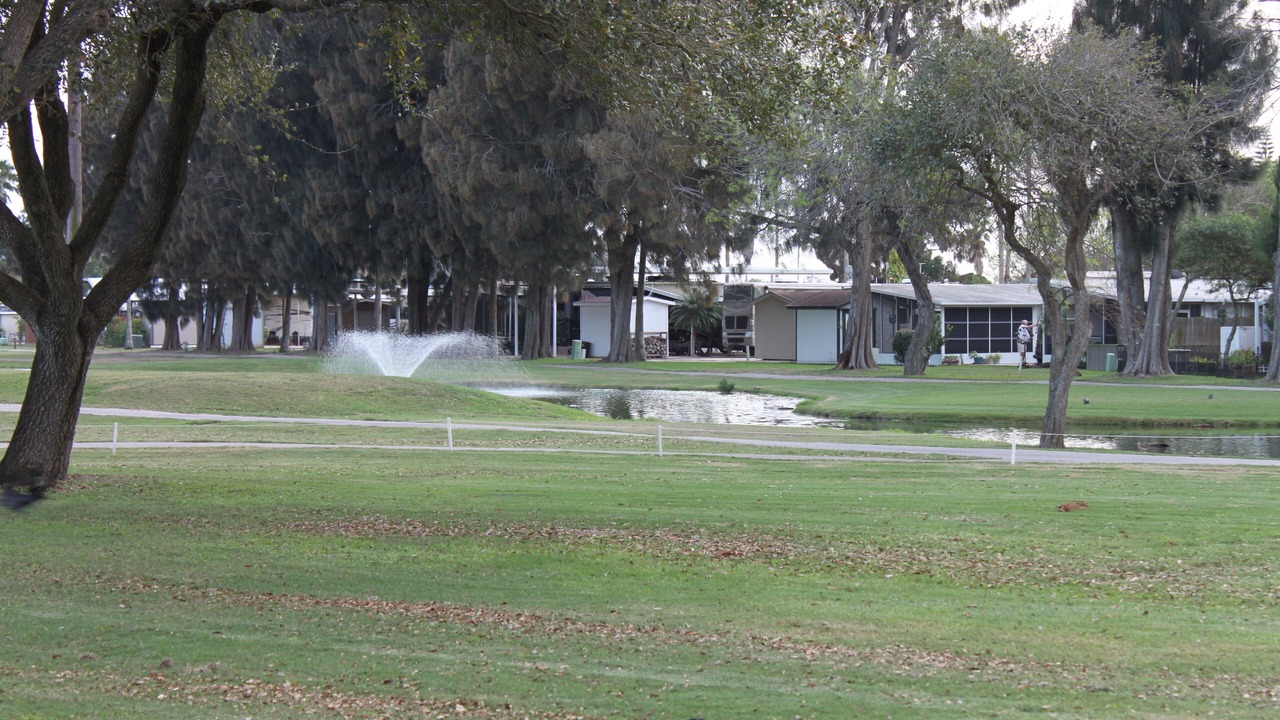 Photo of Outdoor in Brownsville