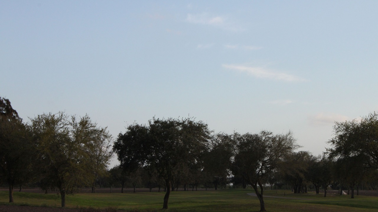 Photo of Others in Brownsville