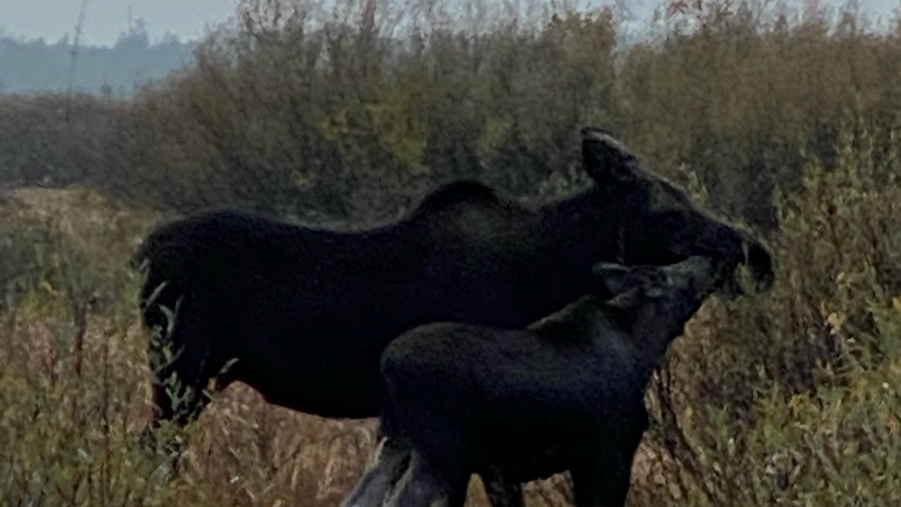 Photo of Outdoor in Last Chance