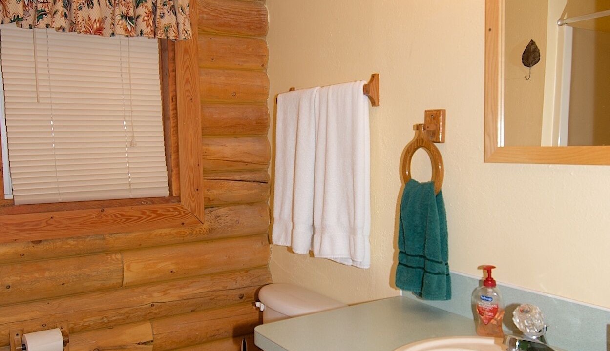 Photo of Bathroom in Island Park