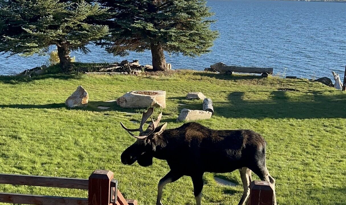 Photo of Others in Island Park