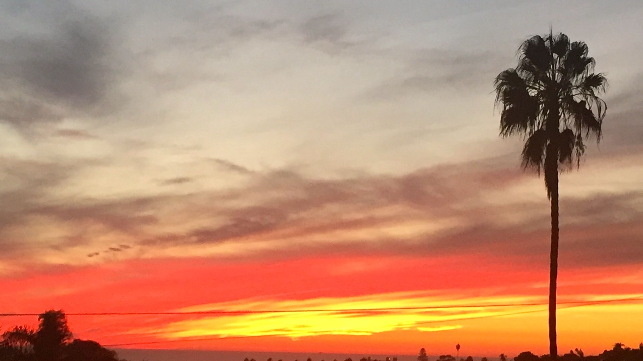 Photo of Bedroom in North Pacific Beach