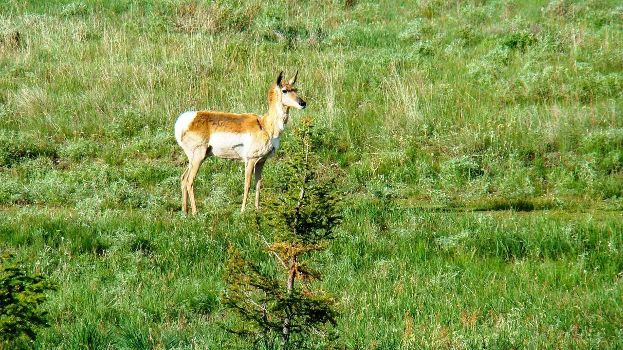 Photo of Outdoor in Cora