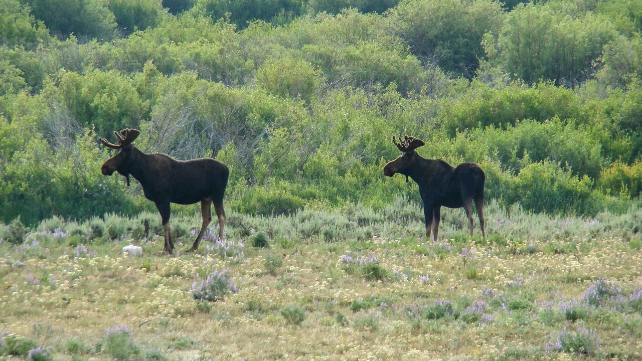 Photo of Outdoor in Cora