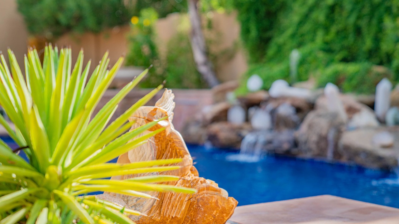 Photo of Outdoor in Paradise Valley Village