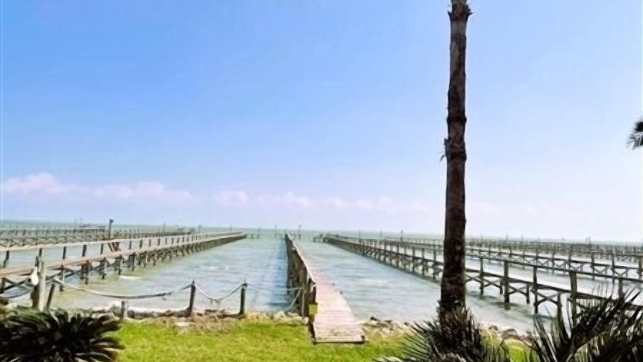 Photo of Others in Port Mansfield