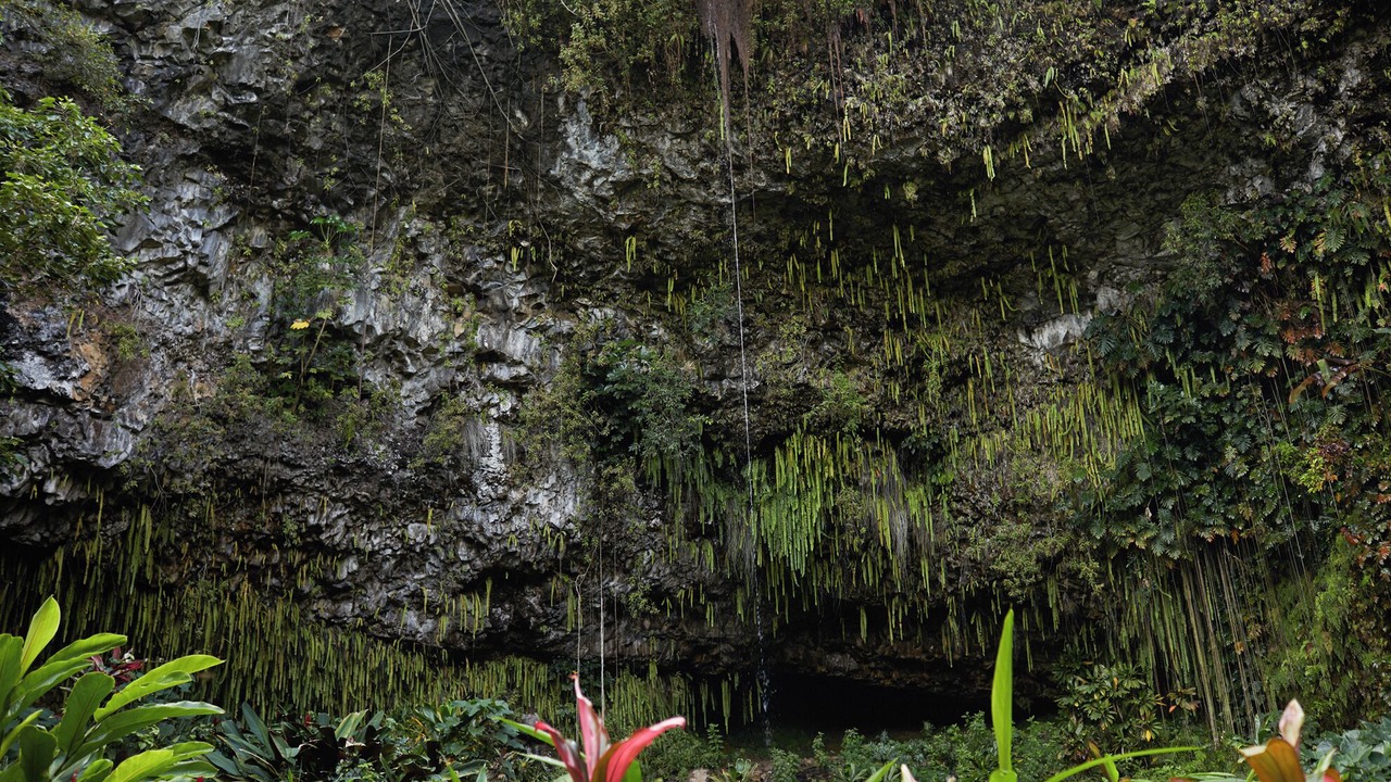 Photo of Others in Wailua