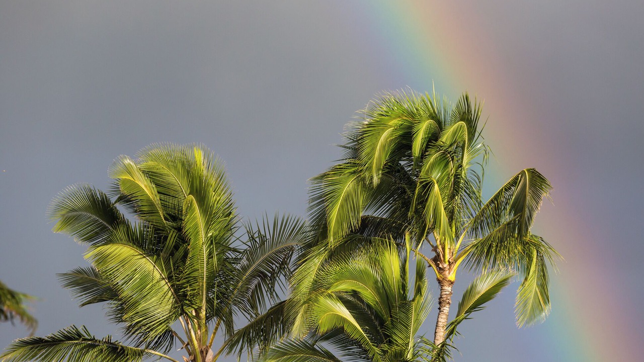 Photo of Others in Wailua