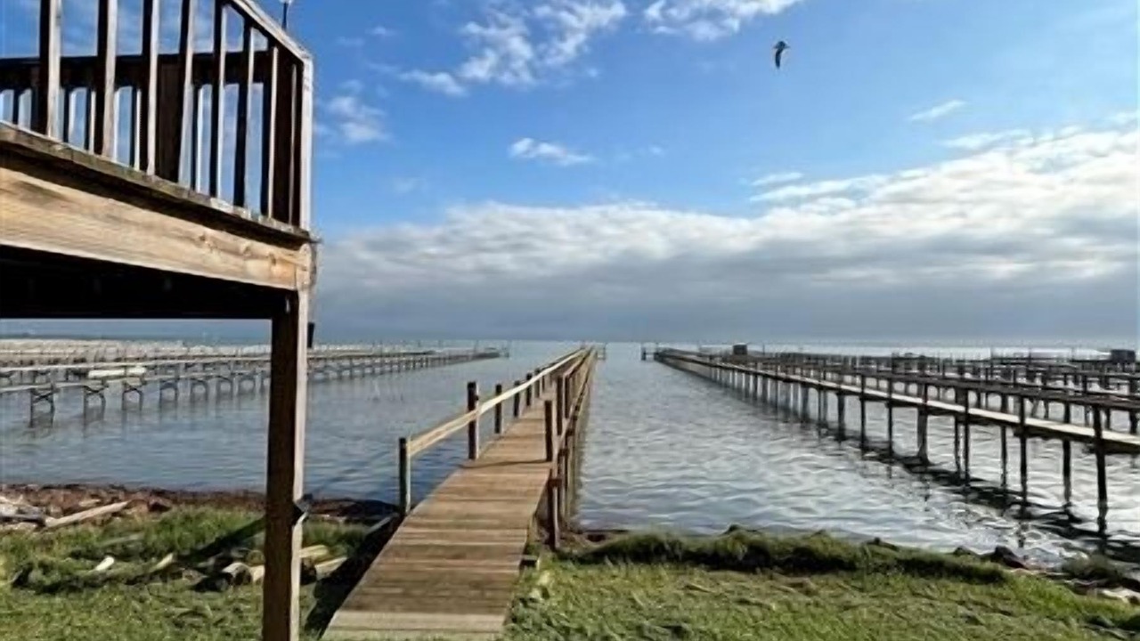 Photo of Others in Port Mansfield