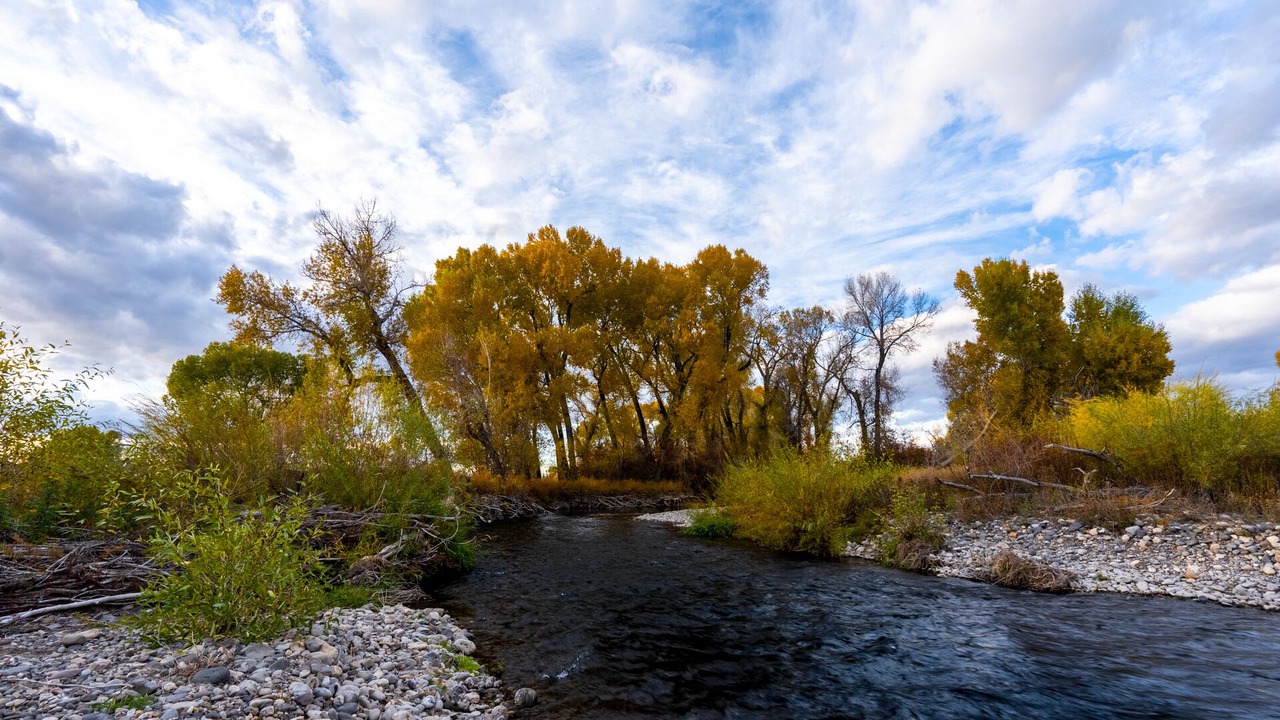 Photo of Others in Bozeman