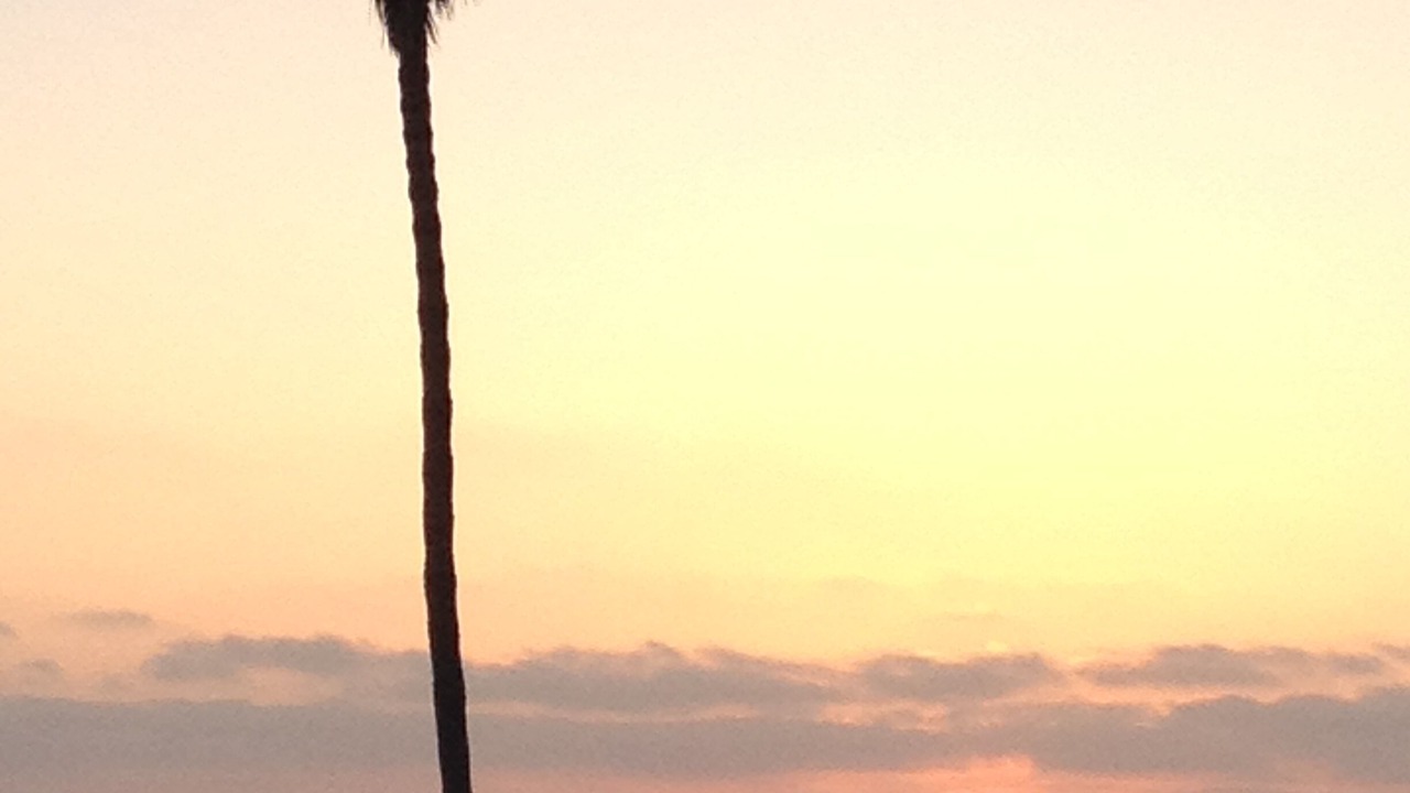 Photo of Others in Point Loma Heights