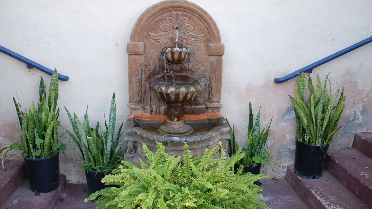 Photo of Outdoor in Point Loma Heights