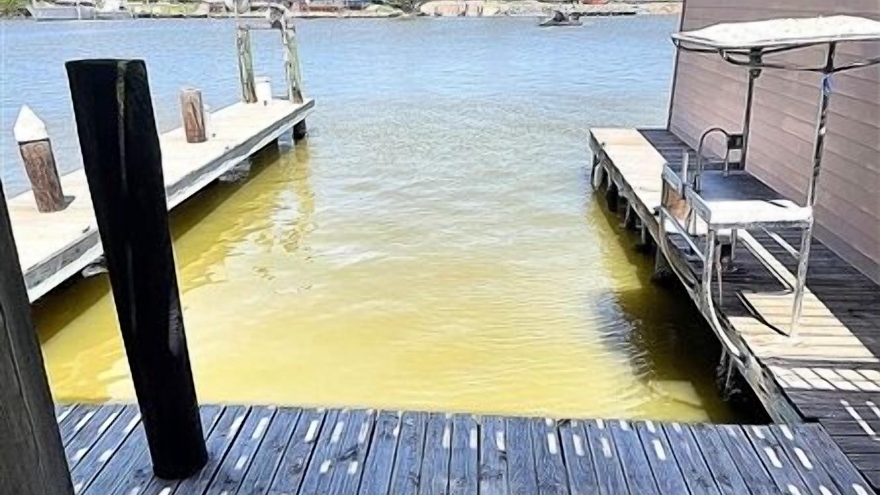 Photo of Outdoor in Port Mansfield