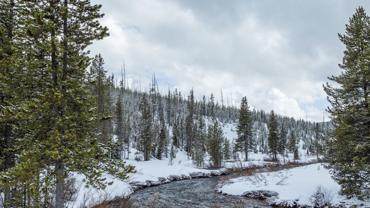 Photo of Others in Big Sky Meadow Village