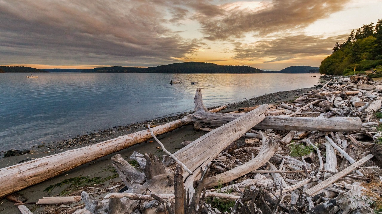 Photo of Others in Anacortes