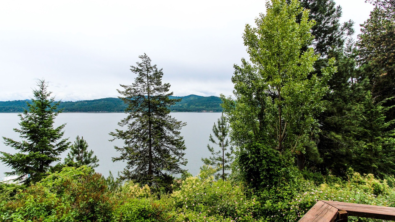 Photo of Others in Coeur d'Alene