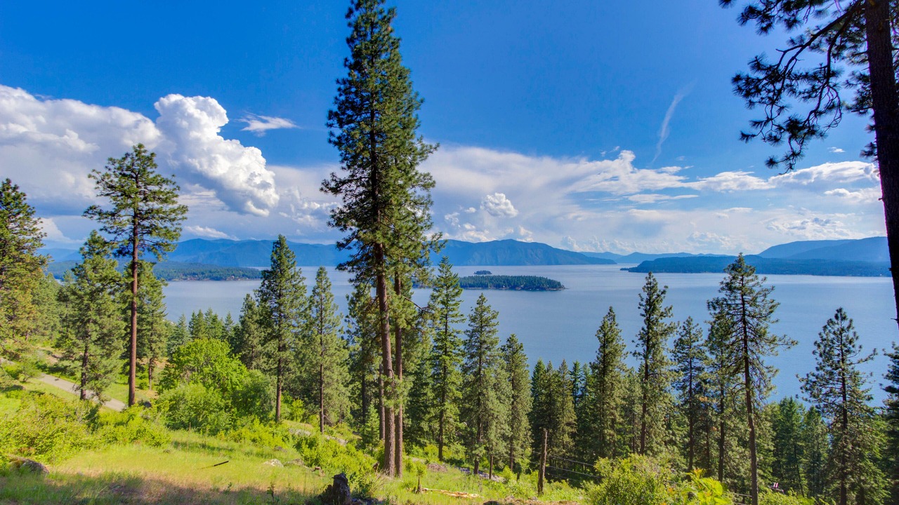 Photo of Others in Sandpoint