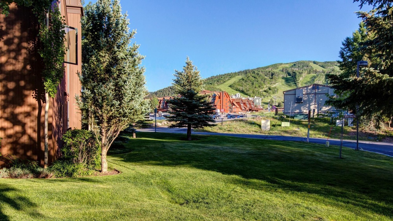 Photo of Others in North Park City