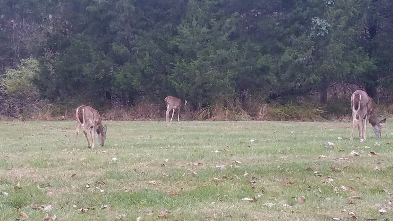 Photo of Others in Taylorsville
