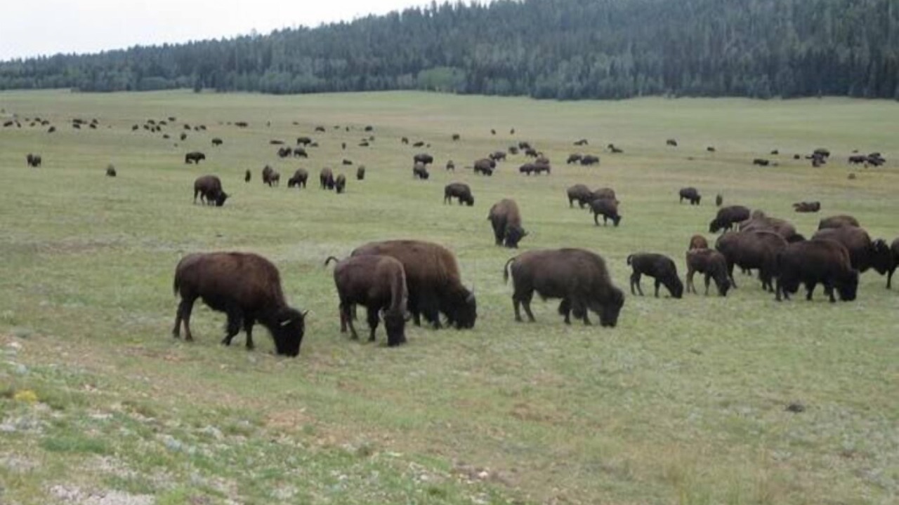 Photo of Others in Kanab