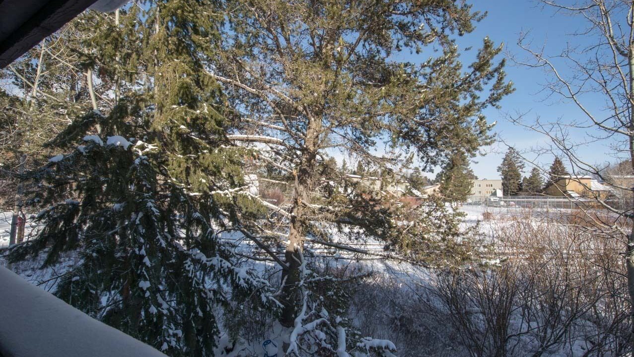 Photo of Others in Teton Pines