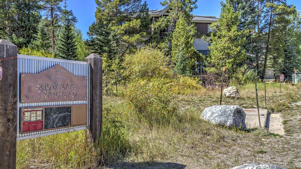 Photo of Outdoor in Four O'Clock