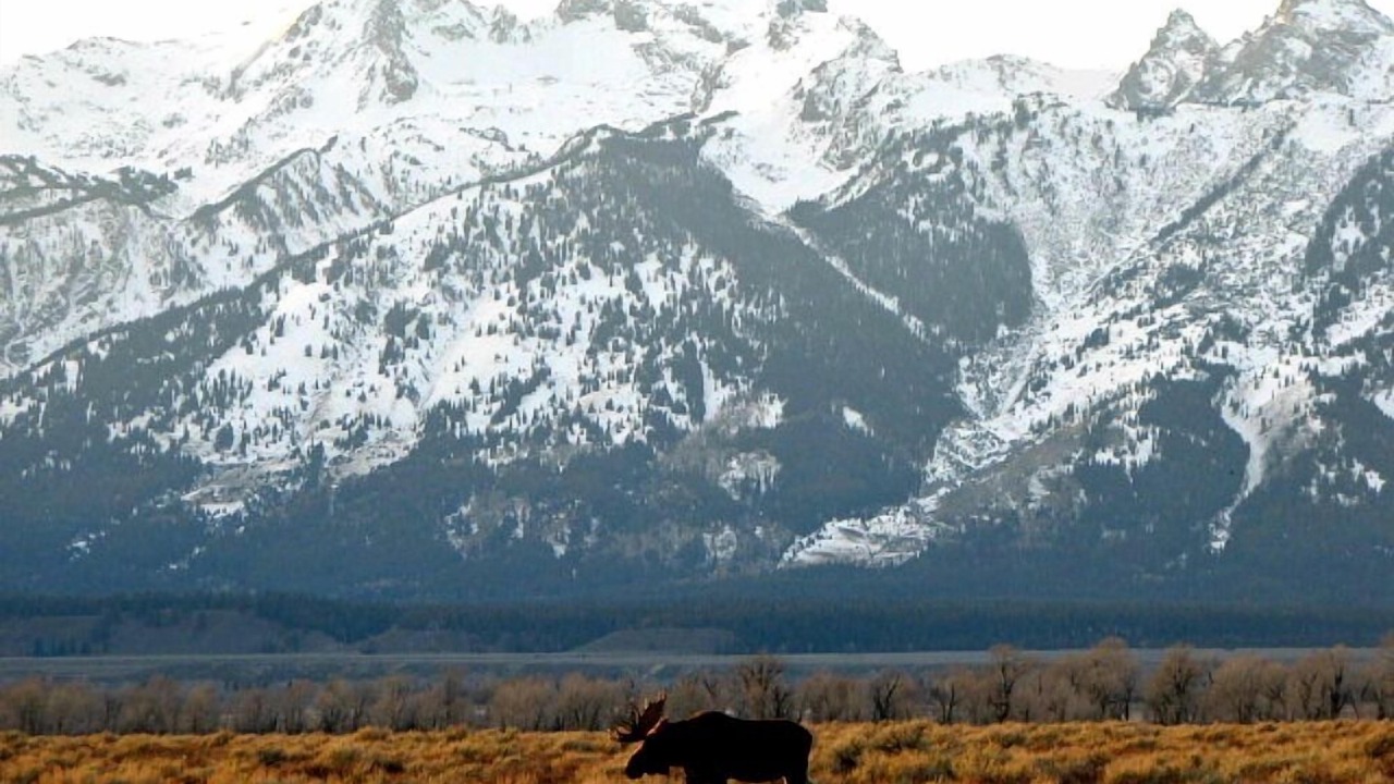 Photo of Others in Jackson Hole